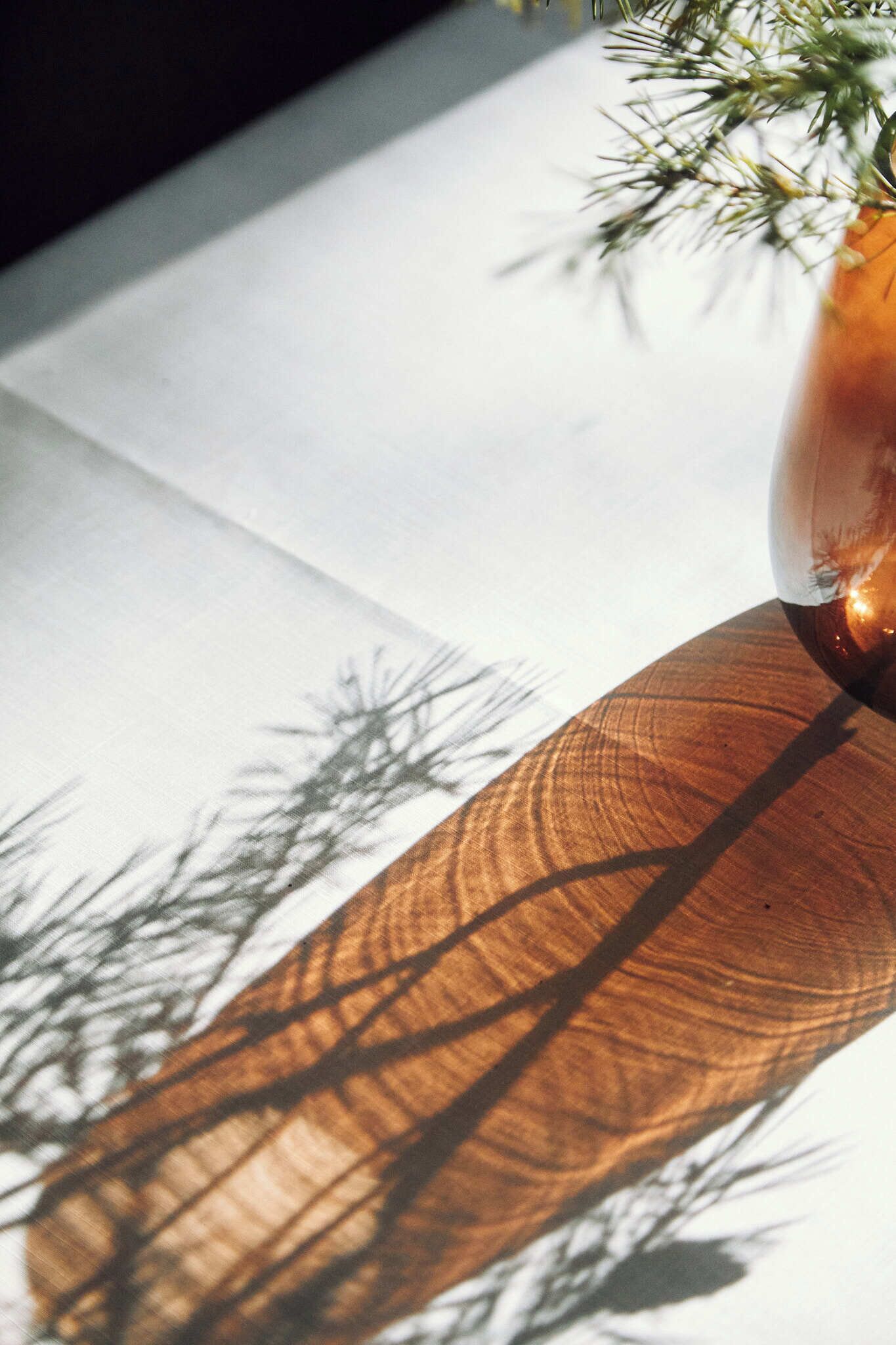 Una mesa con un florero de follaje, superficie de madera y la sombra de ramas de árboles.