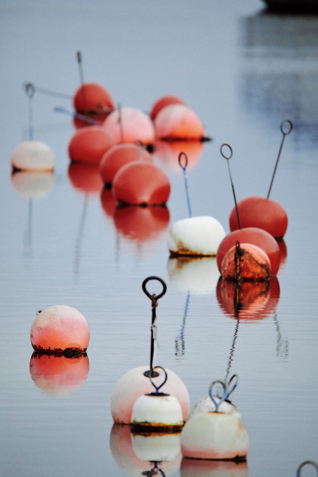 Buoys floating on calm water.