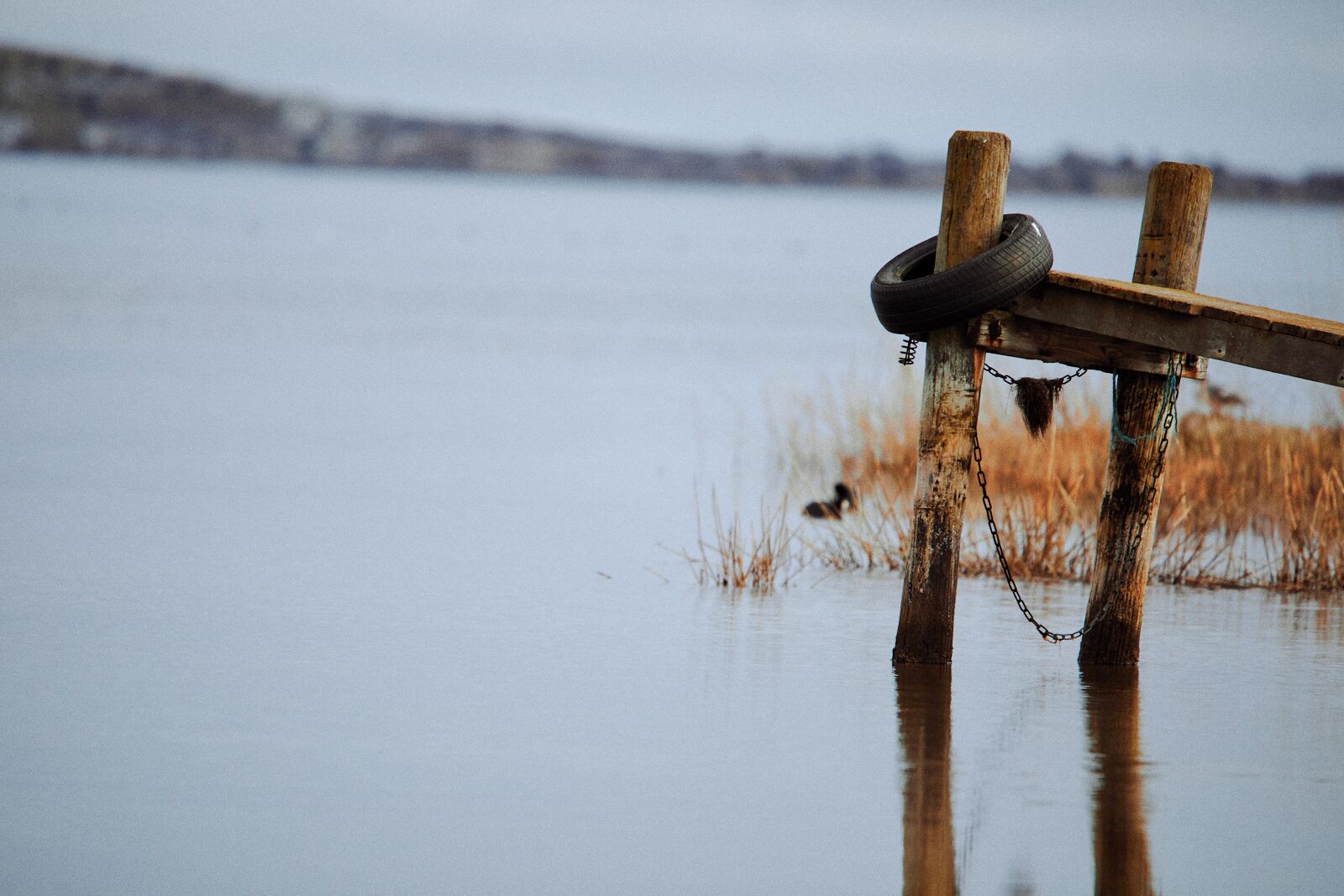 A wooden post with a tire and chain in a flooded area.