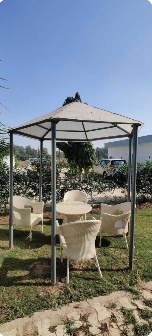 Garden view