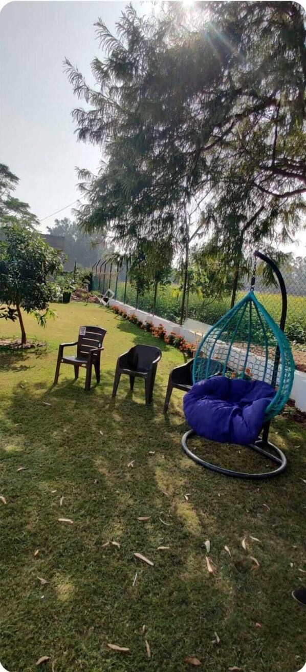 Garden view