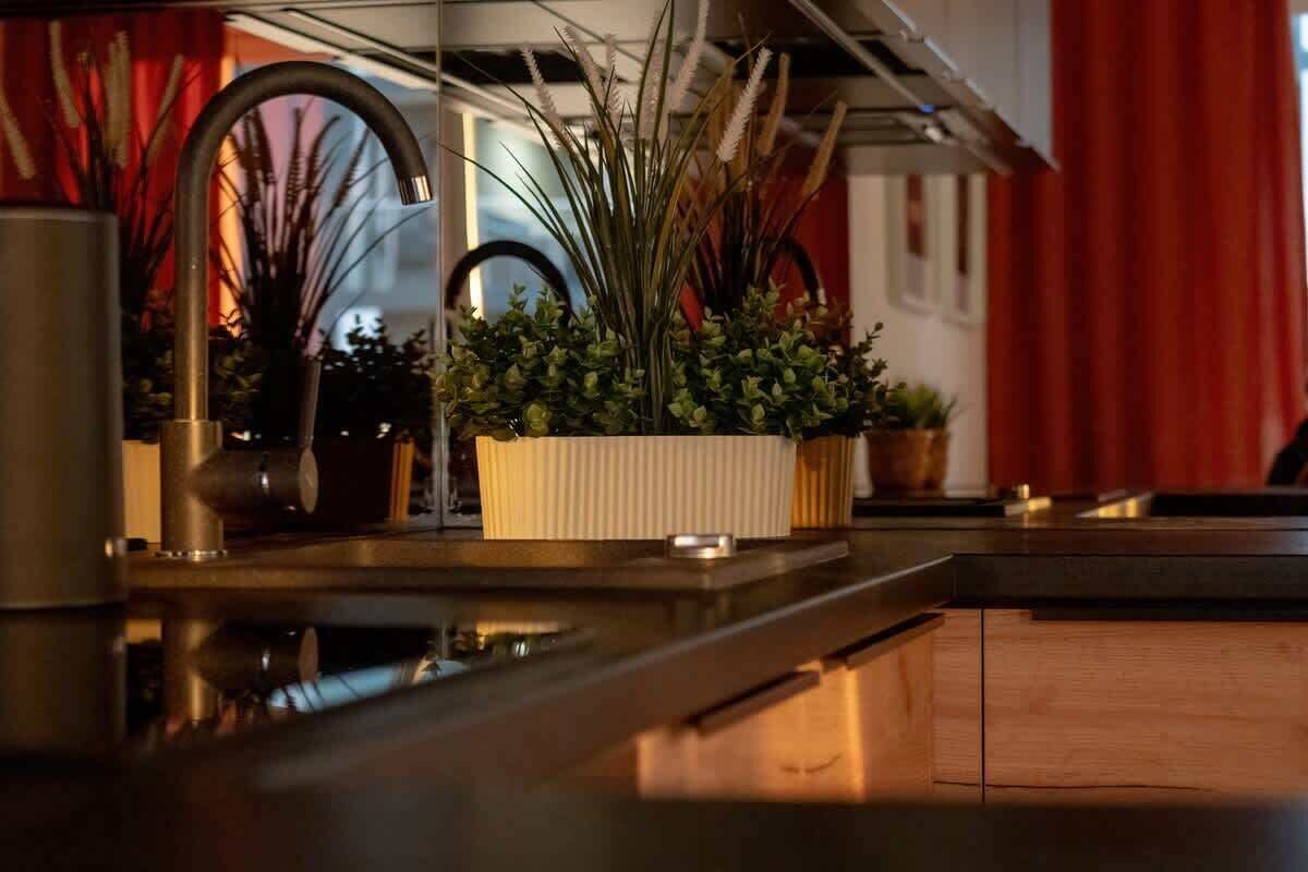 A kitchen with a stainless steel sink, a potted plant, and a red curtain in the background.