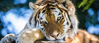 charming house in the middle of nowhere