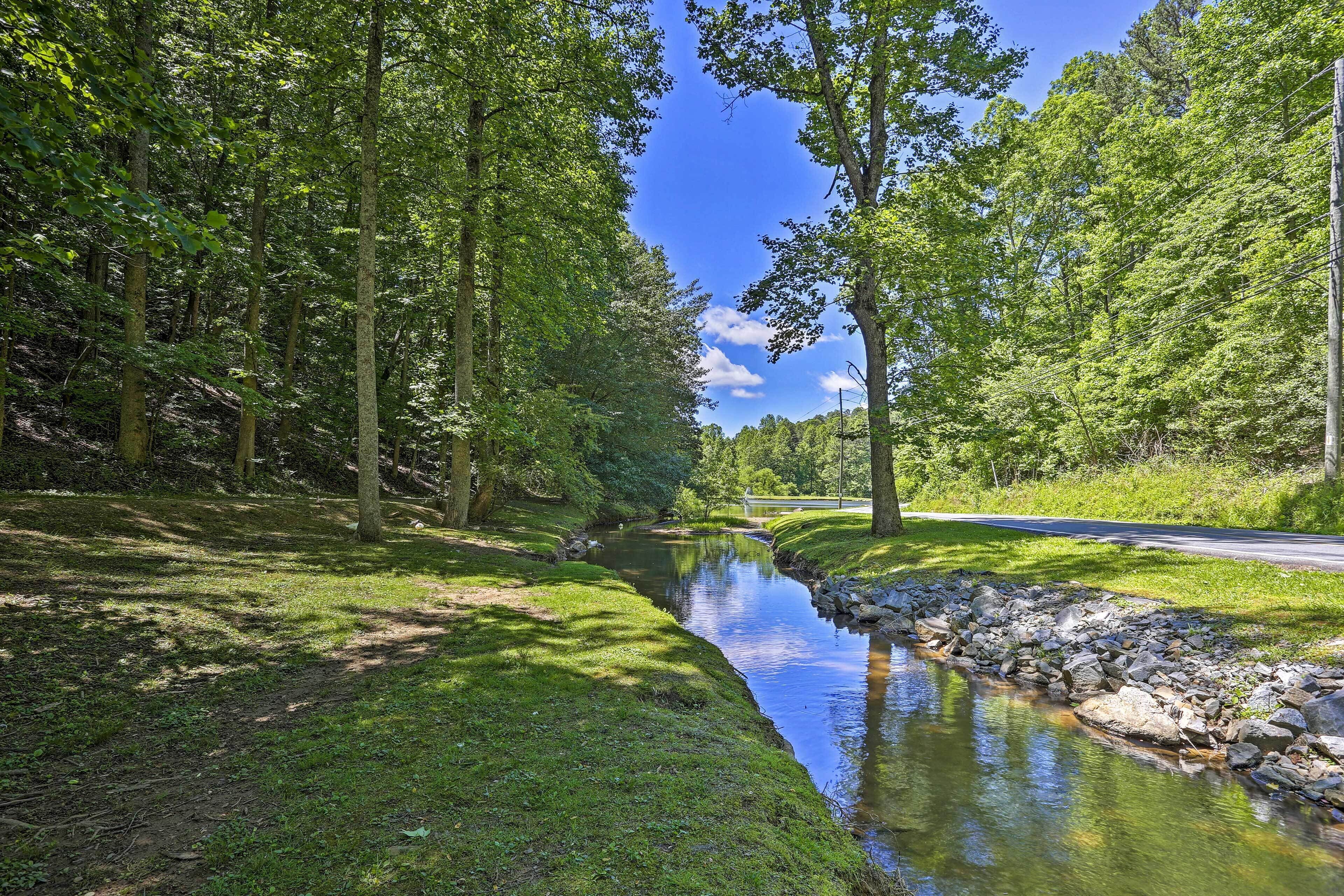 A serene forested area with a small stream, a road, and a clear blue sky.