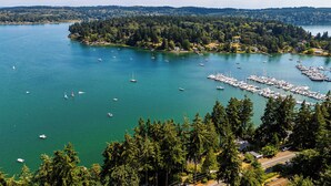 A marina with numerous boats docked, surrounded by dense forest and a clear sky. - Waterfront Vashon Island Home, Beach Access & View (Vashon Island)