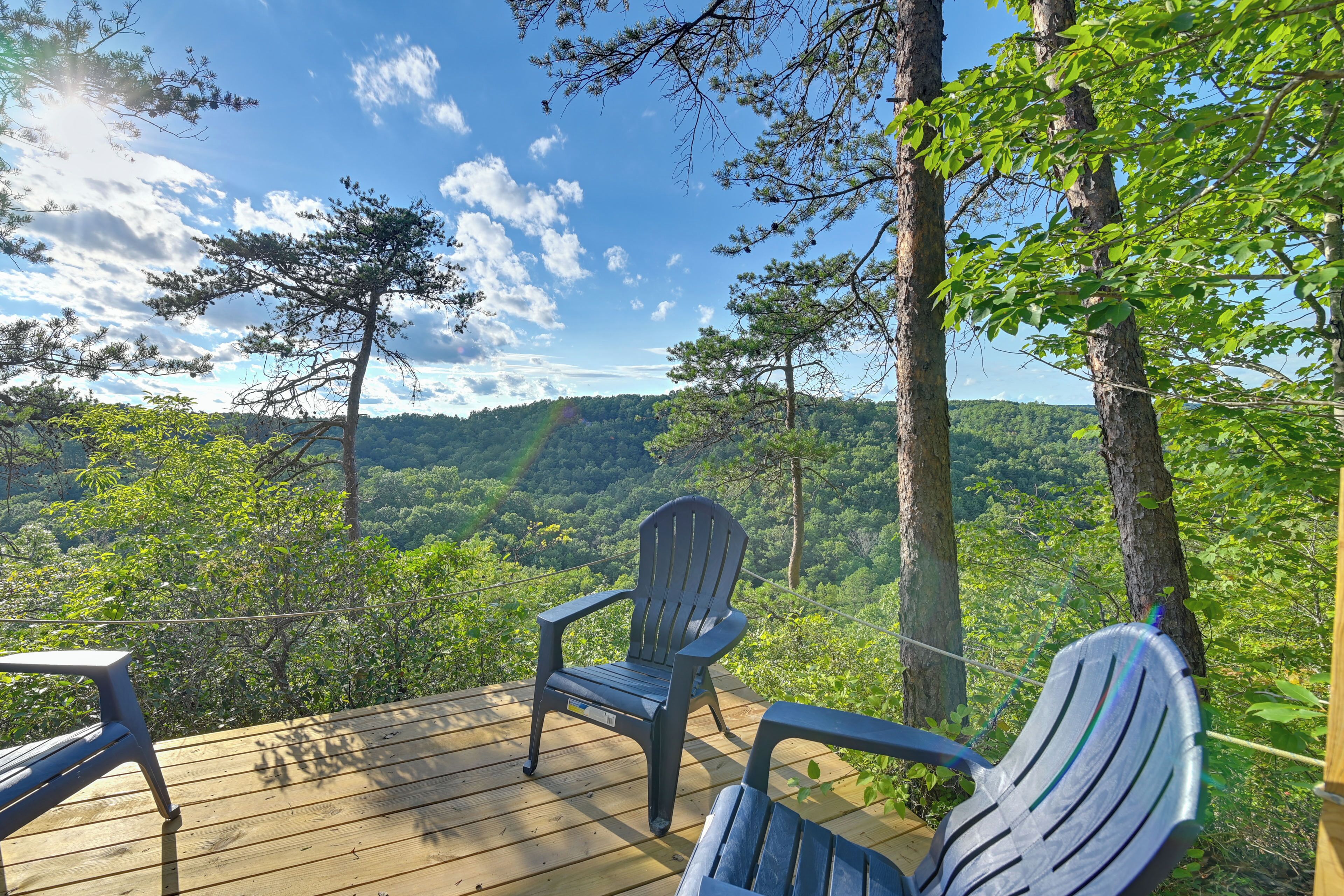 House (1 Bedroom) | Interior