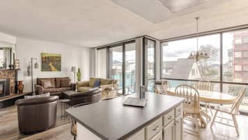 Televisio, takka, DVD-soitin, työhuone