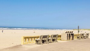 Beach - Sand & Sea (310) Driftwood - Oceanfront Pet Friendly (Seaside)