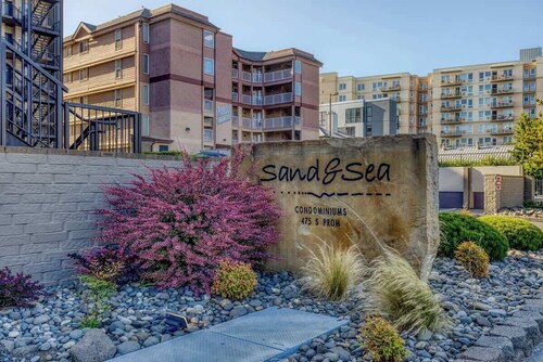 Sand & Sea (310) Driftwood - Oceanfront Pet Friendly