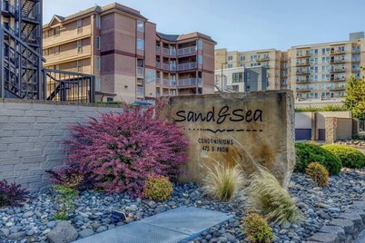 Sand & Sea (310) Driftwood - Oceanfront Pet Friendly