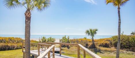 A wooden boardwalk leading to a beach with palm trees and a clear sky.