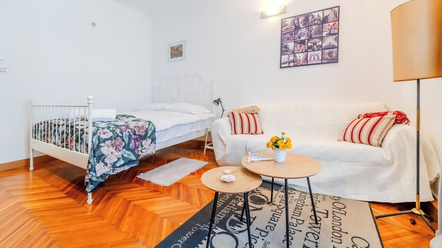 Cozy Studio in the Center of Zagreb