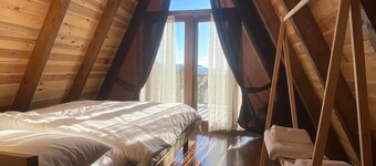 Tenora Suit Bungalov