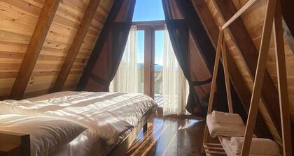 Tenora Suit Bungalov