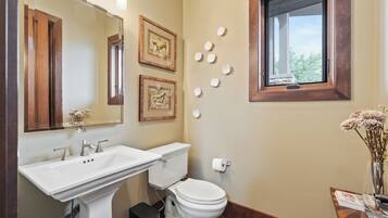 Hair dryer, towels, soap, toilet paper