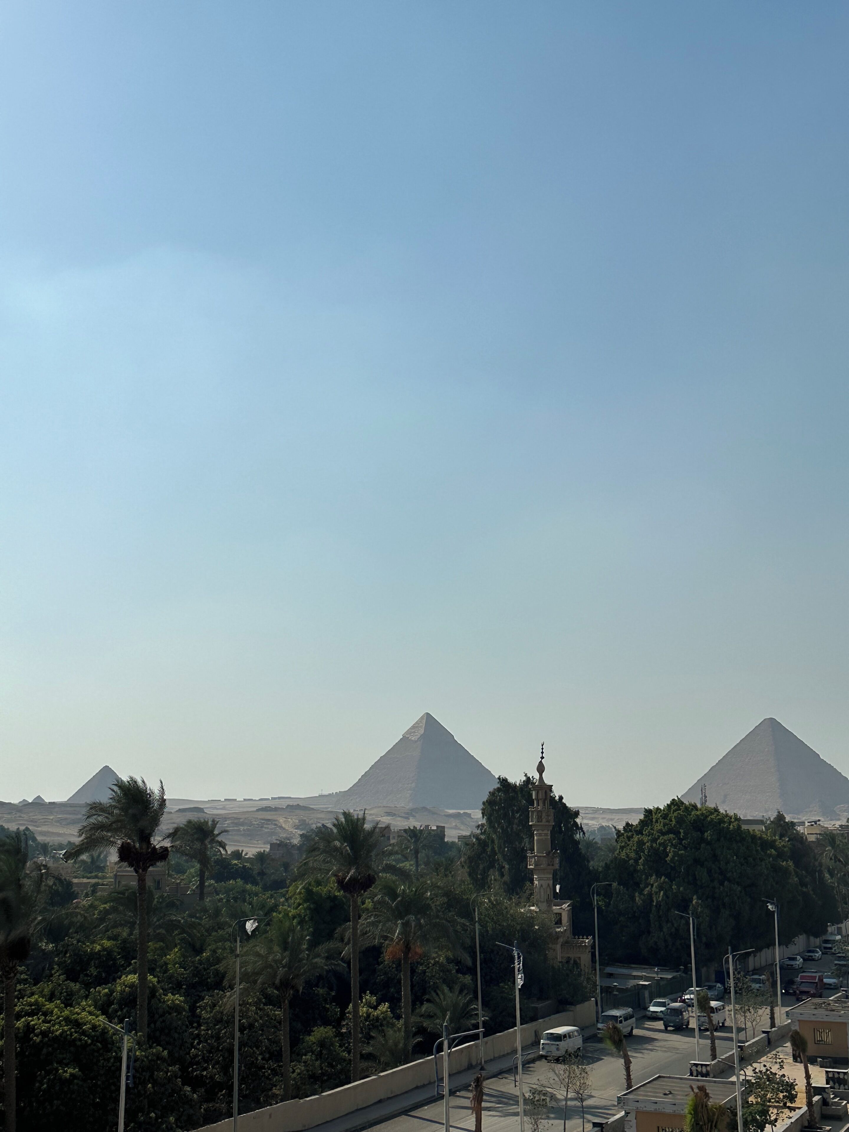 A view of the pyramids with palm trees and a road in the foreground.