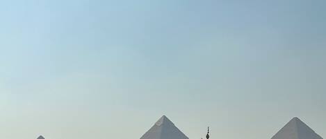 A view of the pyramids with palm trees and a road in the foreground.