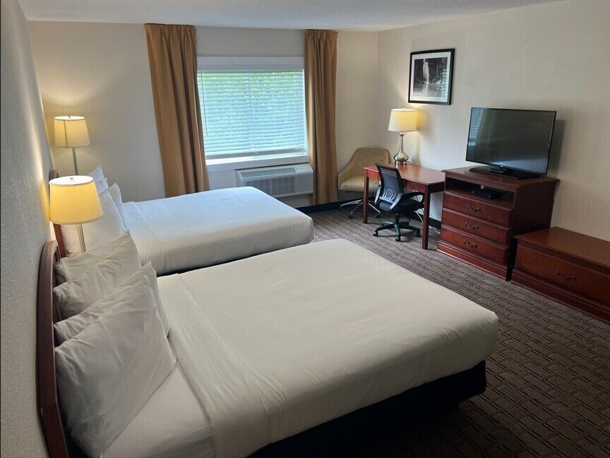 Studio Suite, Multiple Beds | Desk, laptop workspace, free WiFi, bed sheets