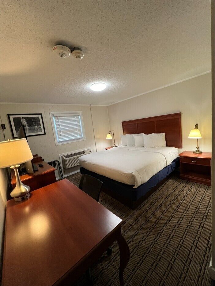 Estudio básico, 1 cama King size | Escritorio, espacio para trabajar con laptop y wifi gratis 