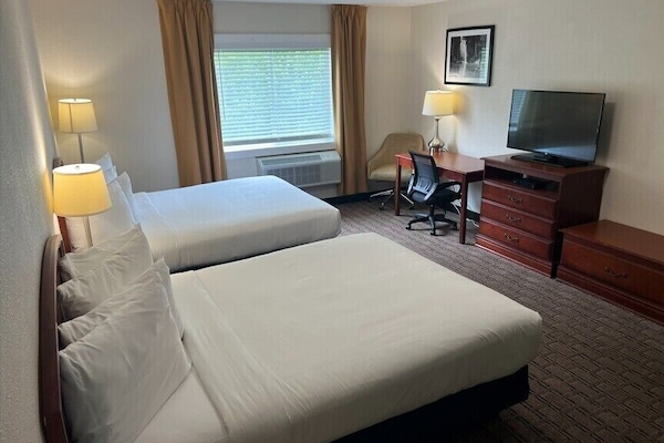 Suite monolocale, letti multipli | Una scrivania, postazione laptop, Wi-Fi gratuito, lenzuola