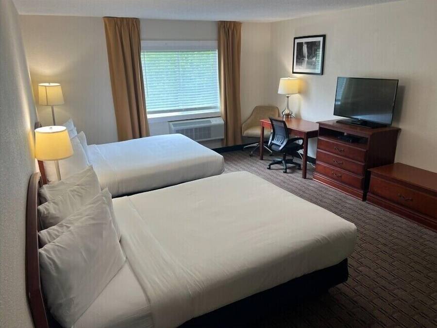 Desk, laptop workspace, free WiFi, bed sheets