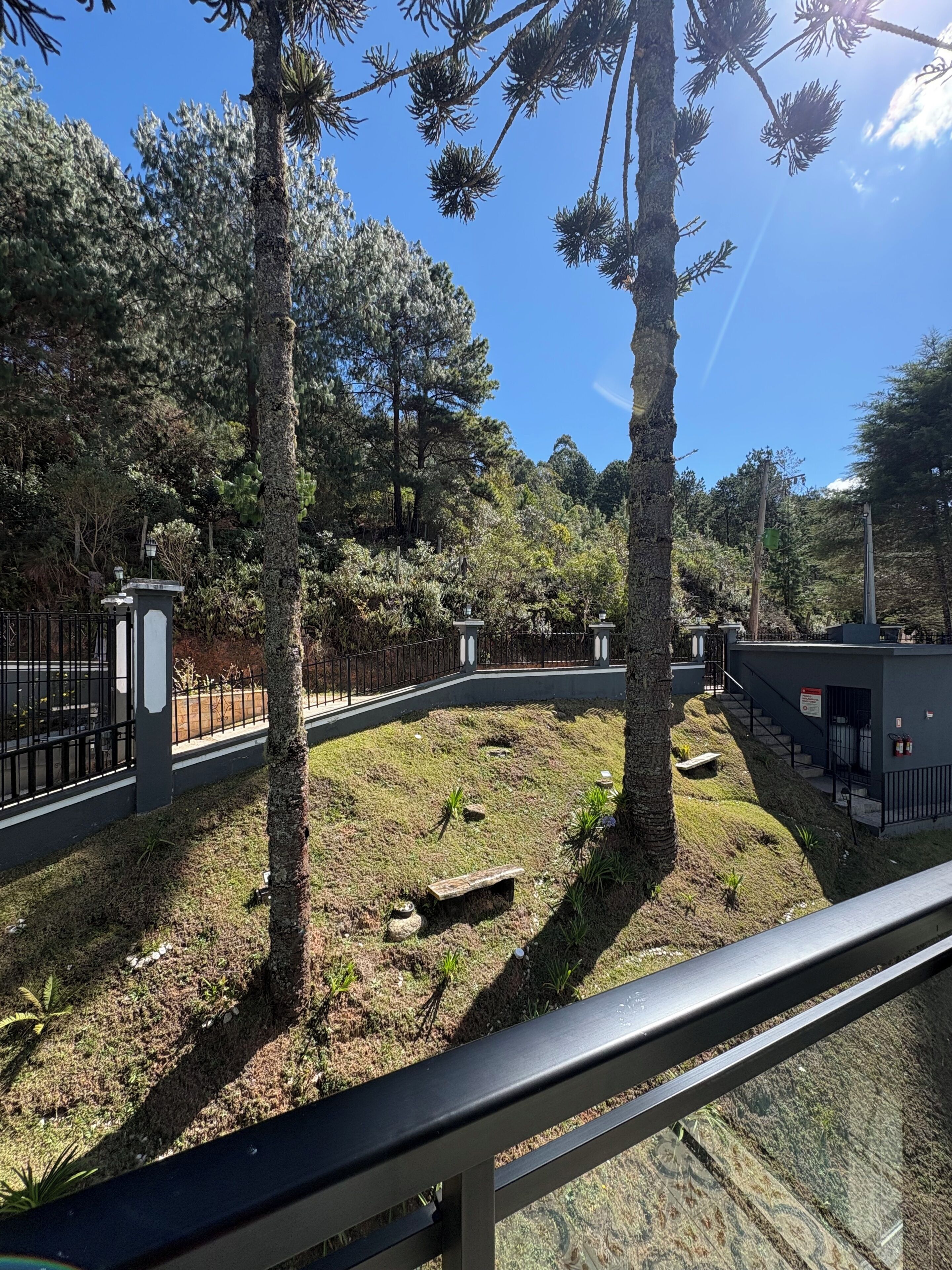 A landscaped area with trees, a pathway, and a building with a staircase.