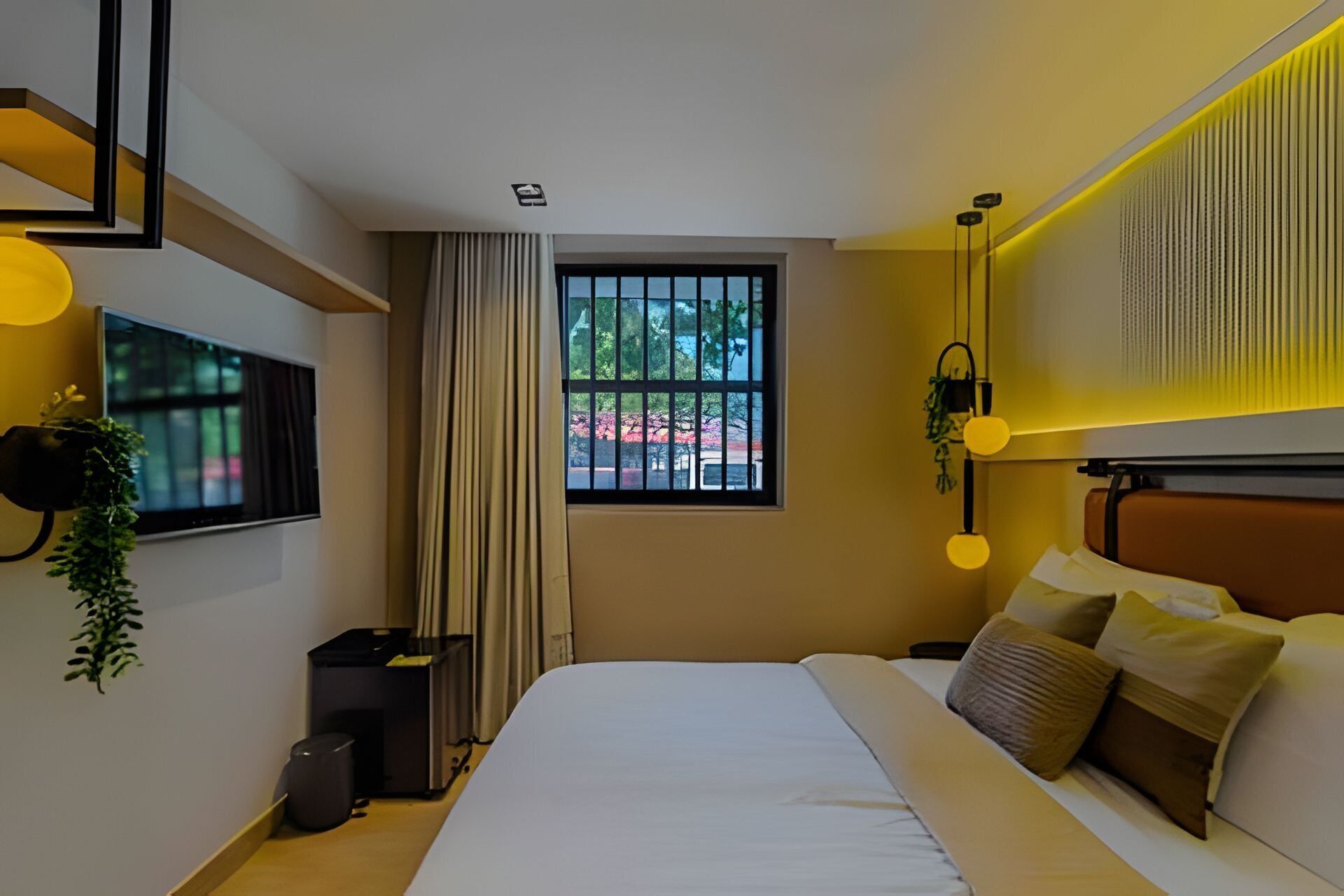 A modern hotel room with a bed, a TV, a window with curtains, and a plant.