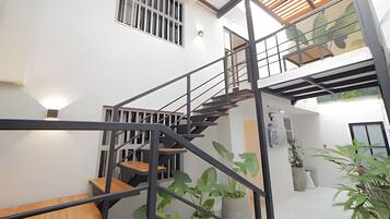 Un interior moderno con una escalera espiral, escalones de madera, barandillas metálicas y plantas en macetas.