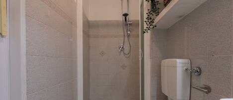 Shower, hair dryer, bidet, towels