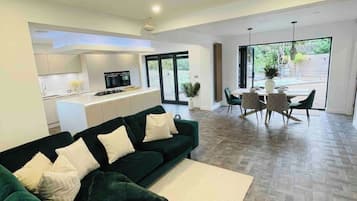 House | Living area | Fireplace