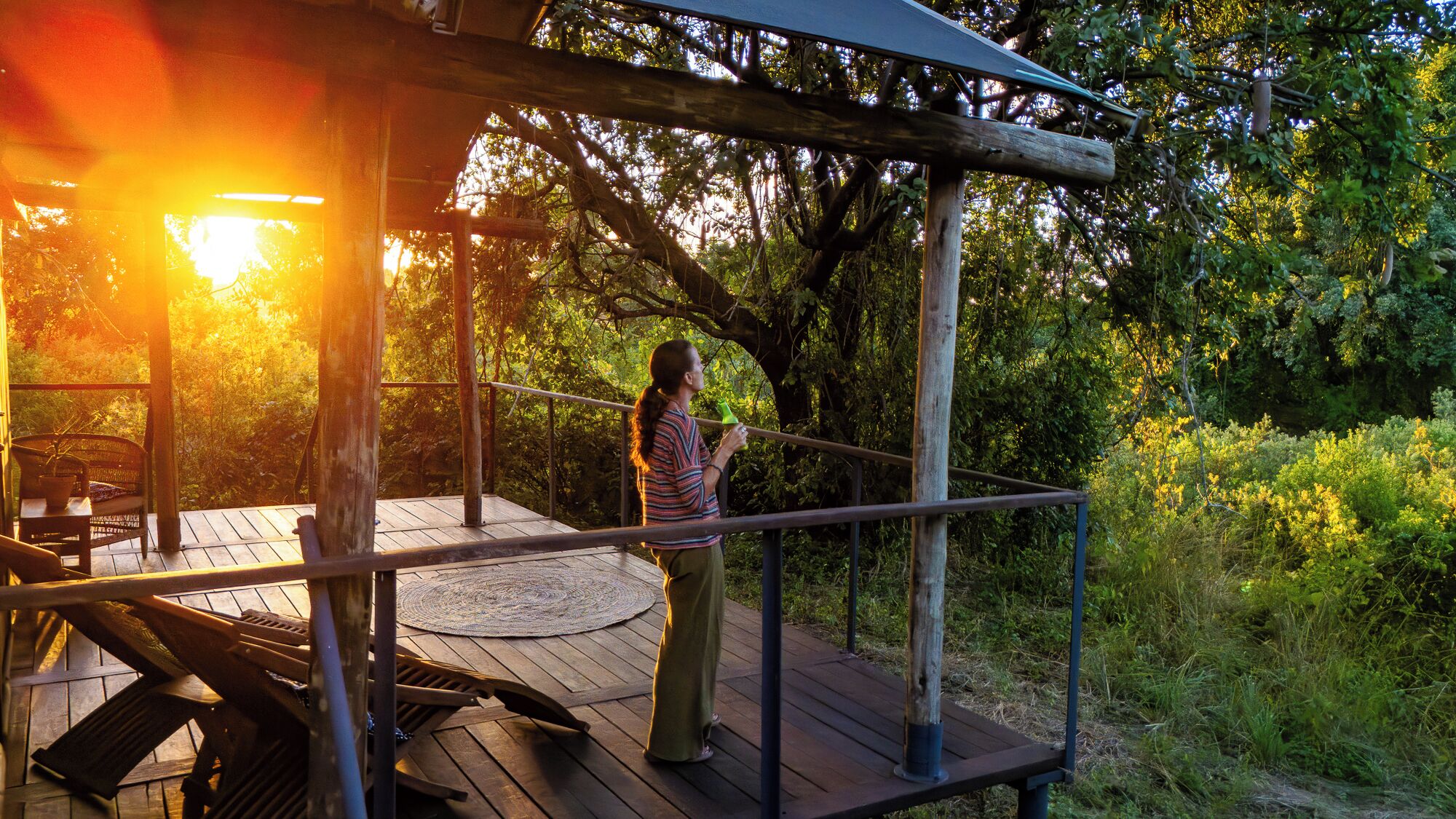 Une terrasse en bois dotée d’une rambarde, entourée d’une végétation luxuriante et d’arbres.
