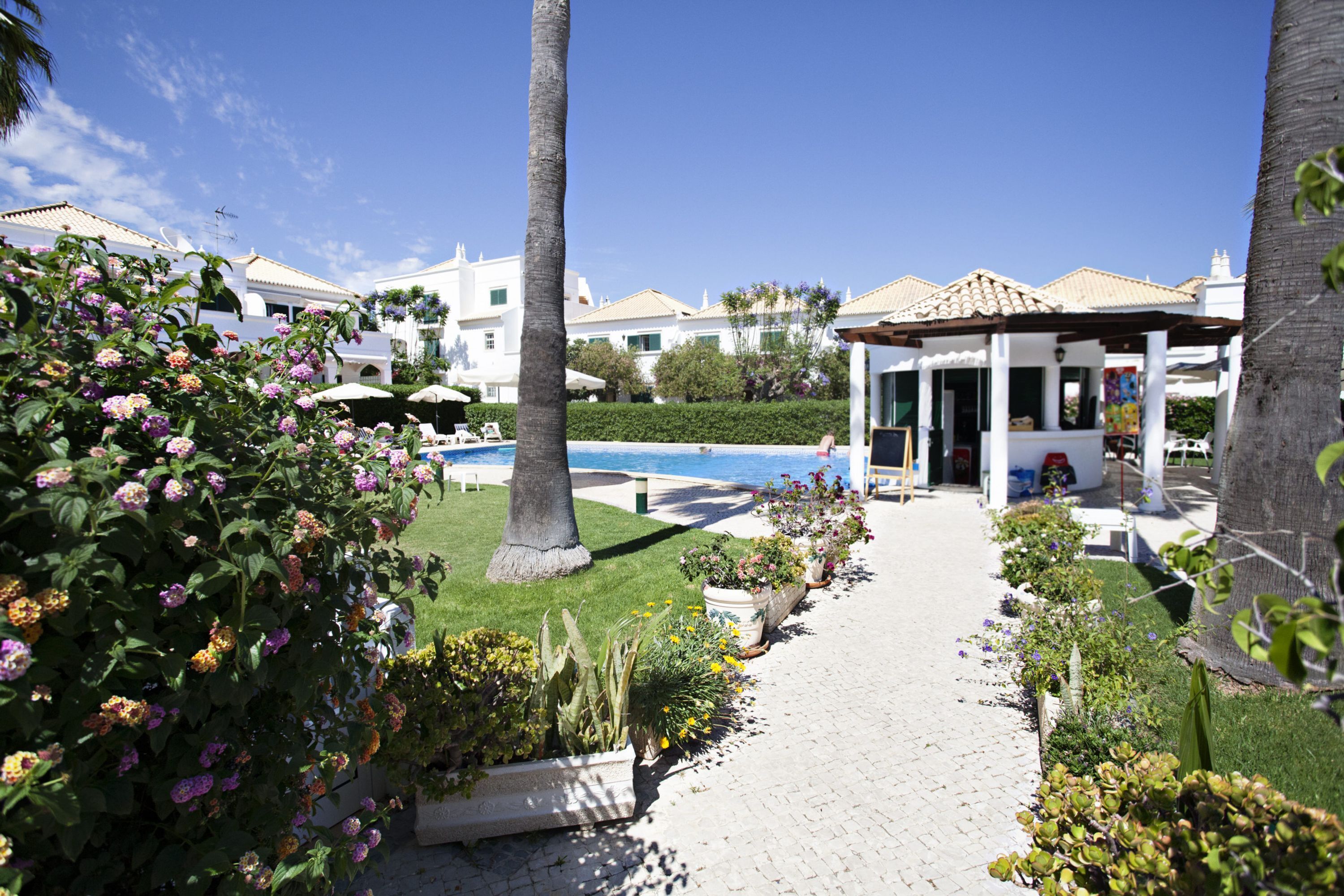 A pathway leading to a pool area with a gazebo, surrounded by lush greenery and palm trees.
