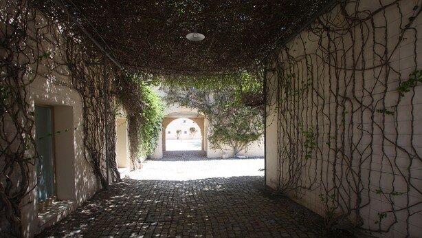Un sentier pavé de pierres menant à une arche, bordé de murs recouverts de plantes grimpantes.