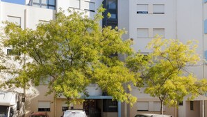 A modern building with a flat facade, large windows, and a tree in the foreground. - Formosa View in Faro (Faro)