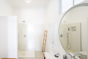 A modern bathroom with a shower, toilet, and a large mirror.