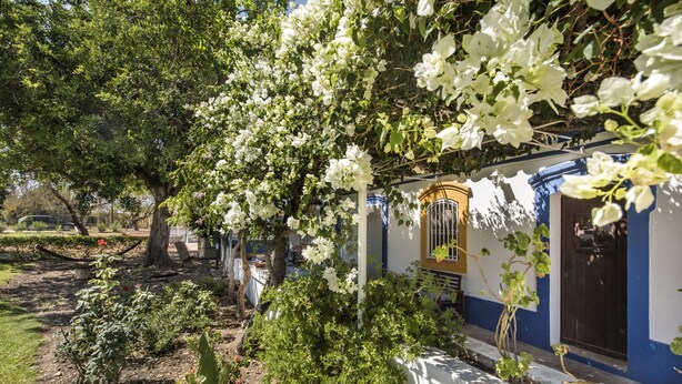A building with a white exterior and a blue door, surrounded by lush greenery and flowering plants. - Casa Santo in Tavira (Tavira)