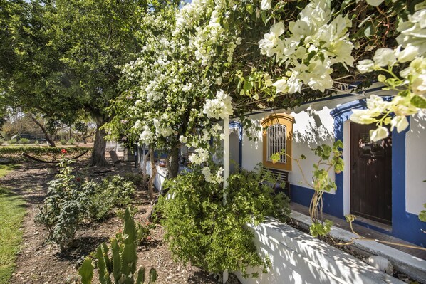 House | 3 bedrooms - Casa Santo in Tavira (Tavira)