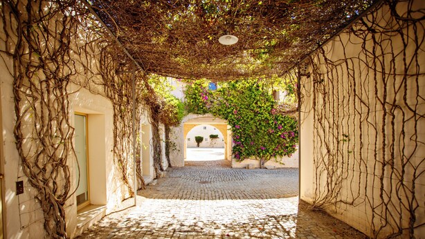 A cobblestone courtyard with a covered walkway, arches, and climbing plants. - CV P- Convento das Bernardas (Tavira)