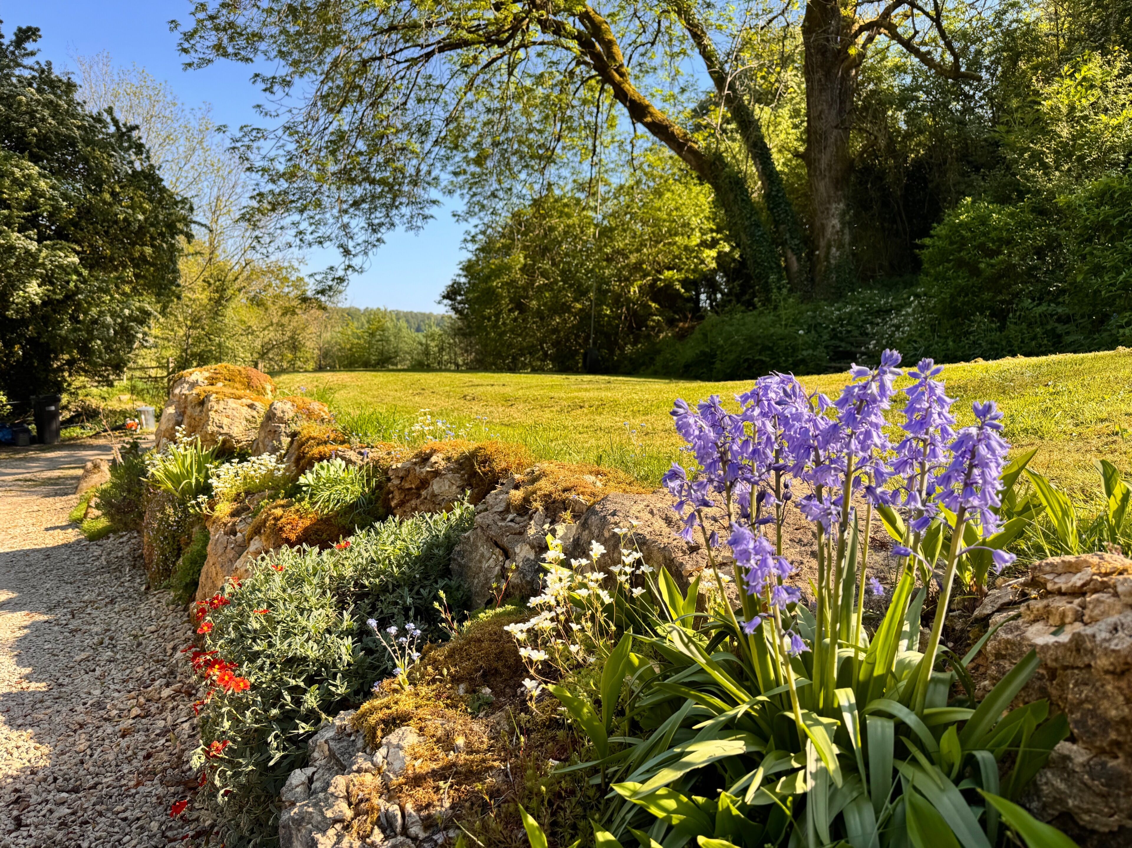 Cottage | Property grounds