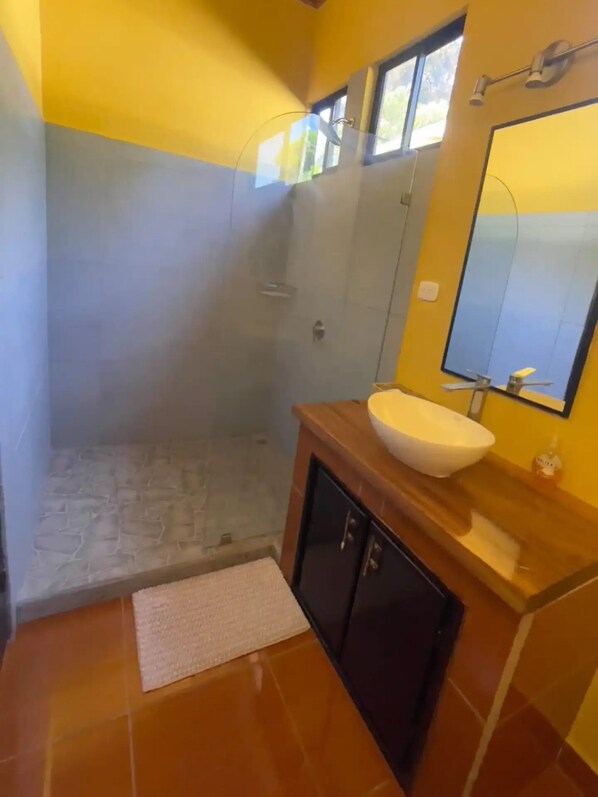 Regadera y papel de baño 