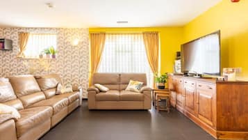 Televisie, een open haard en een dvd-speler