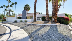 A modern building with a curved driveway, palm trees, and a gravel area with small plants.