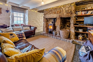 TV, fireplace, books