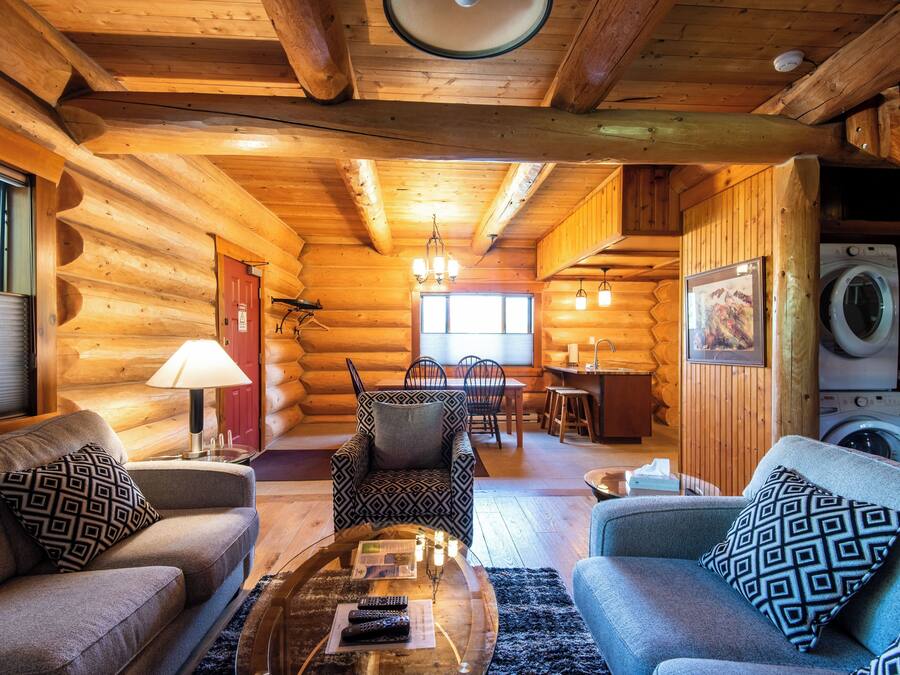 Télévision LCD de 1 pouces avec chaßnes par satellite, cheminée