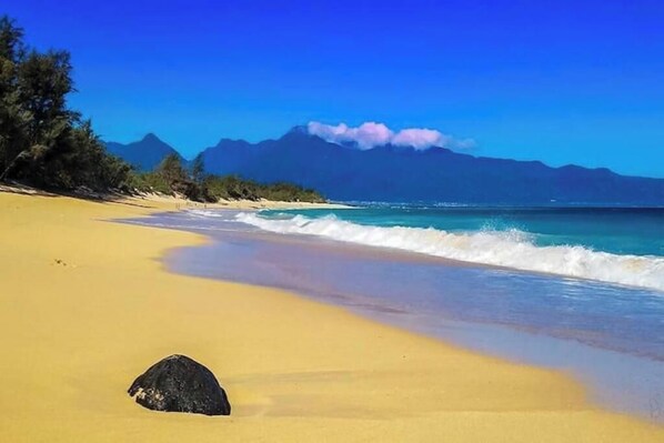 On the beach, sun loungers, beach towels