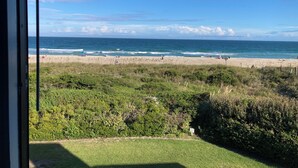 Blick auf einen Strand mit einer grünen Wiese im Vordergrund und blauem Himmel.