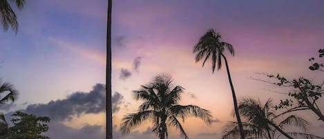 على الشاطئ