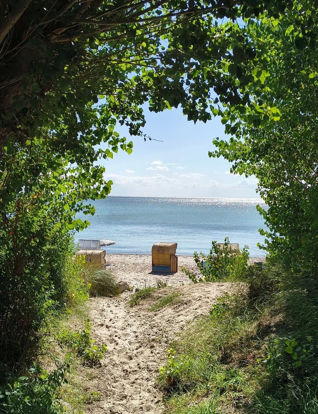 Une vue sur la plage, avec un ciel dégagé, un sentier sablonneux menant à l’eau et deux bancs en bois.