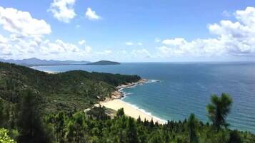 A coastal landscape with a beach, forested hills, and a clear sky.