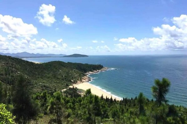 Un paysage côtier avec une plage, des collines boisées et un ciel dégagé.